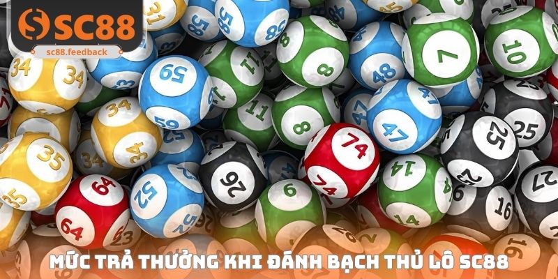 Tìm hiểu về mức trả thưởng khi đánh bạch thủ lô SC88